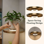 LED Floating Wall Shelf – Modern Plant Display Shelf with Warm Ambient Light💋