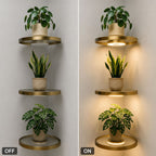 LED Floating Wall Shelf – Modern Plant Display Shelf with Warm Ambient Light💋